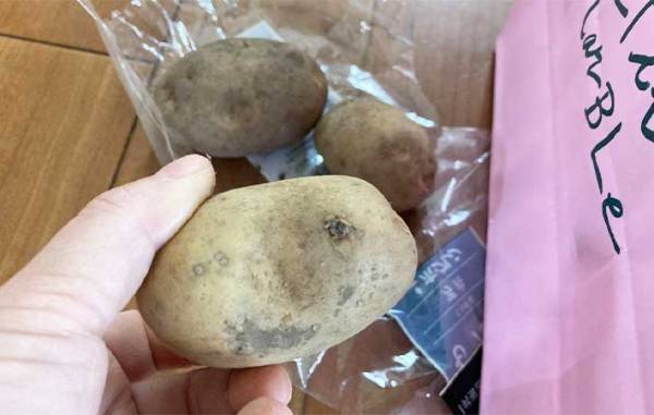 「芽が出ない！」　放置するだけの『ジャガイモの保存テク』の効果がすごい