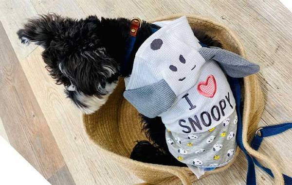 台湾のお店でよく見かける『動物のマーク』　意味を知って「なんか新鮮！」