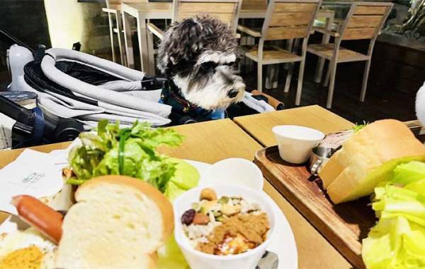 台湾のお店でよく見かける『動物のマーク』　意味を知って「なんか新鮮！」