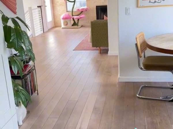 飼い主「猫はどこへ行ったのかしら？」　次の瞬間…！「びっくりして気絶しそうになった」