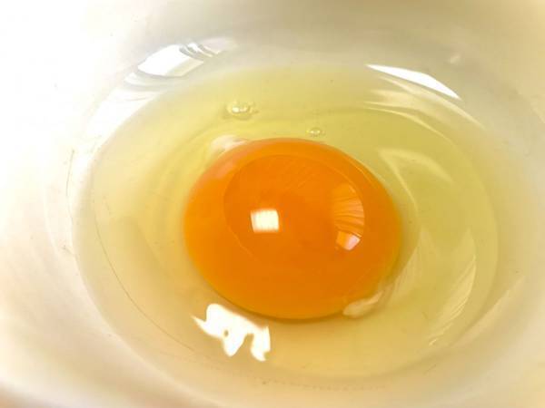 フライ返し万能すぎ！　卵白と卵黄を一瞬できれいに分ける方法に「これすごい」「グッドアイディア」