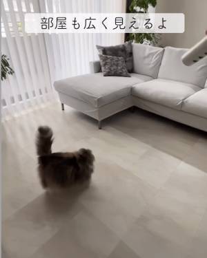 たったこれだけ！　リビングの生活感を隠す５つのポイントに「すっきり」「すぐ試す」