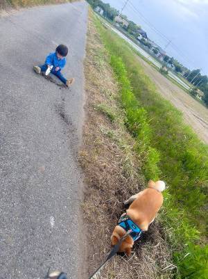 ２歳の息子と犬の散歩をしていたら？　振り返った時に見た光景が衝撃的だった！