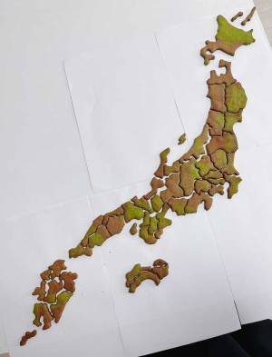 「天才が現れました」「センスの塊」　１８万件の『いいね』を集めたクッキー　その全貌は…