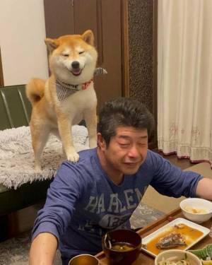 飼い主の肩に乗る柴犬　浮かべた表情に「かわいすぎる！」「仲良し親子」