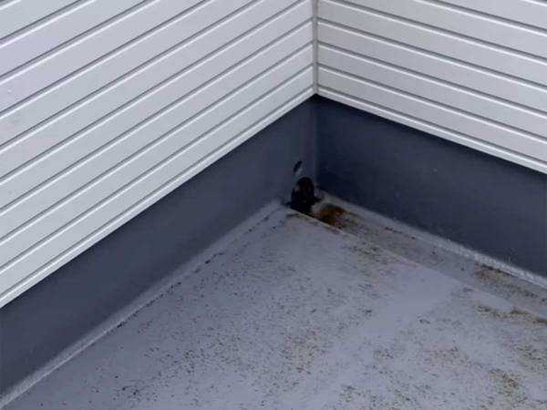 ベランダ掃除は雨の日が最適　簡単にキレイになる方法に「この発想はなかった」「水道代が節約できる」