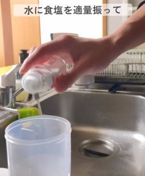 卵パックを開ける時は「反対側から」が正解！？　取り出しやすくなる納得の理由