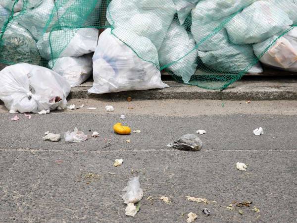 徳島市「可燃ゴミの名称を変更します」　ツッコミどころ満載の発表に「二度見したわ！」「なんて？」