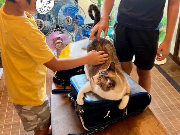 小学生が『登校を阻止』される事態が発生！　平日朝の光景に「一生見ていたい」「これが平和か」