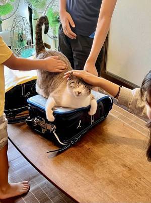 小学生が『登校を阻止』される事態が発生！　平日朝の光景に「一生見ていたい」「これが平和か」