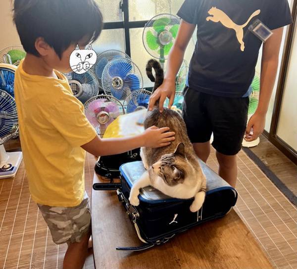 小学生が『登校を阻止』される事態が発生！　平日朝の光景に「一生見ていたい」「これが平和か」