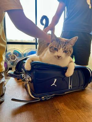 小学生が『登校を阻止』される事態が発生！　平日朝の光景に「一生見ていたい」「これが平和か」