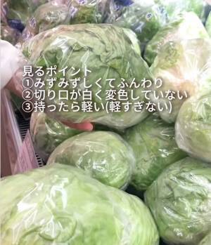 おいしいレタスの選び方は？　４つのチェックポイントを押さえてお得にゲット