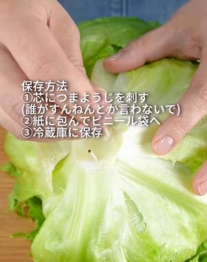 おいしいレタスの選び方は？　４つのチェックポイントを押さえてお得にゲット