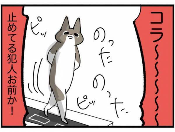 「何この音…」　家電から聞こえる怪しい音　見に行くと、そこにいたのは…
