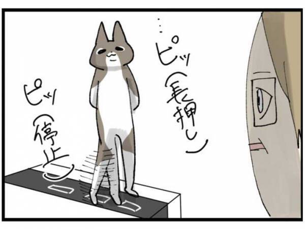 「何この音…」　家電から聞こえる怪しい音　見に行くと、そこにいたのは…