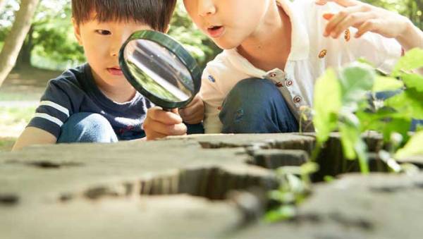 「すぐ見つかる？」「報酬は？」　博物館に聞いた『新種発見にまつわる回答』に興味津々！