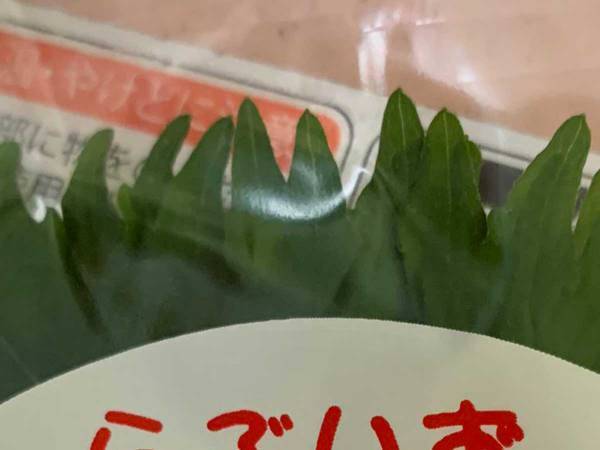 青じそのパッケージにツッコミ続出　「今世紀１番面白い」「肩が震えてる」