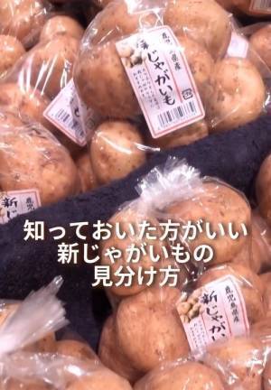 「めちゃくちゃ参考になる」　旬の新ジャガを選ぶ時の目利き術とは