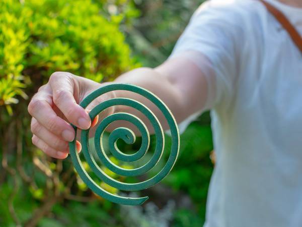 準備しておきたい『蚊取り線香』　きれいに取り外す方法をキンチョーが伝授