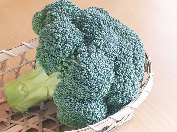 これなら失敗しない！　ブロッコリーの正しい選び方と保存方法