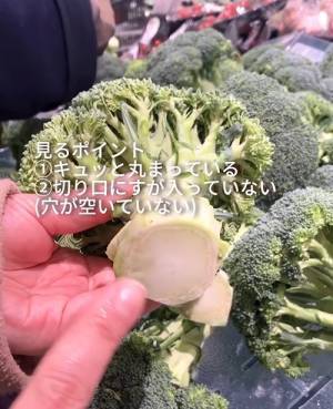 これなら失敗しない！　ブロッコリーの正しい選び方と保存方法