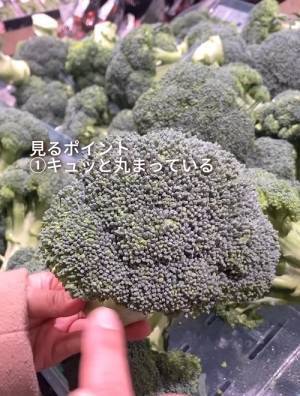 これなら失敗しない！　ブロッコリーの正しい選び方と保存方法