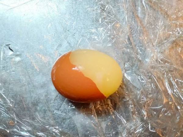 お弁当箱にすっぽり入る「プチ目玉焼き」　その簡単すぎる調理法に「早速試す」