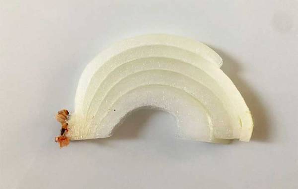 「まな板いらず」「なんか楽しい！」　みじん切り＆細切りがグッと楽になる『はさみ』とは？