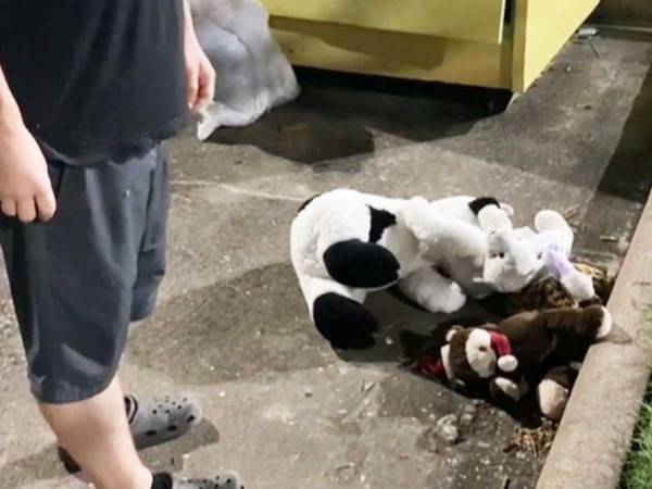 野良犬を保護した男性　一緒に保護した『友達』に「泣きそう」「その通り」