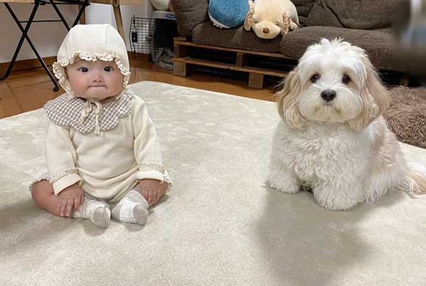 愛犬に似てきたのは飼い主ではなく…？　２３万『いいね』が寄せられた写真に、悶絶