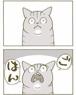 その言葉でいいの…？　飼い猫が選んだ『一生に一度の言葉』とは