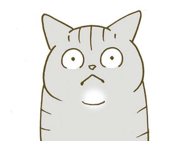 その言葉でいいの…？　飼い猫が選んだ『一生に一度の言葉』とは