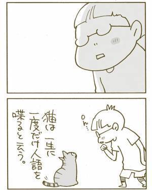その言葉でいいの…？　飼い猫が選んだ『一生に一度の言葉』とは
