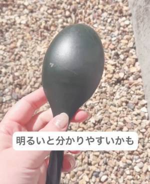 調理スプーンに付いたカレーの黄ばみ　道具不要できれいにする裏技に「すごい」「絶対やる」