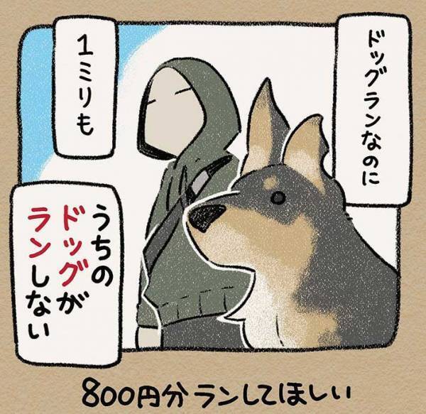犬見知り炸裂！？　ドッグランでの愛犬の様子に、飼い主「８００円分ランしてほしい」