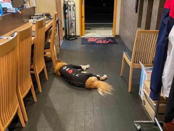 「解雇レベルの勤務態度」　ピークタイムの飲食店で目撃された店員の姿に注目集まる