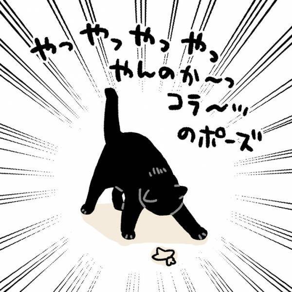 シャー！！シャー！！　黒猫が闘う相手は「めちゃくちゃ小さい」「大人気ない、かわいい」