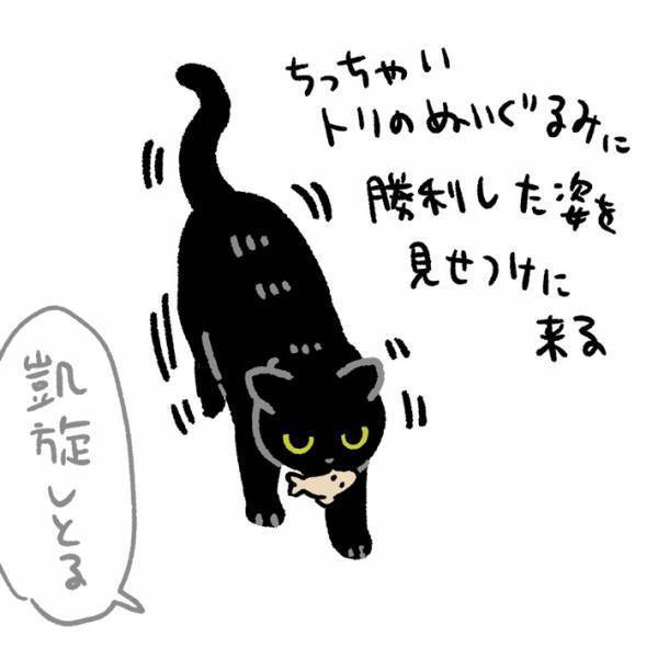 シャー！！シャー！！　黒猫が闘う相手は「めちゃくちゃ小さい」「大人気ない、かわいい」