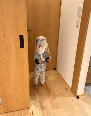 クモを見つけた２歳児　臨戦態勢になった１枚に「吹いた」「武器が優しい」