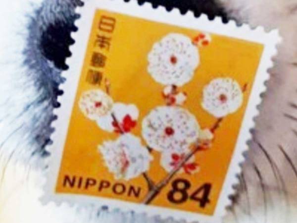 「その手があったか！」　切手を貼る時のユニークな『秘策』とは！？