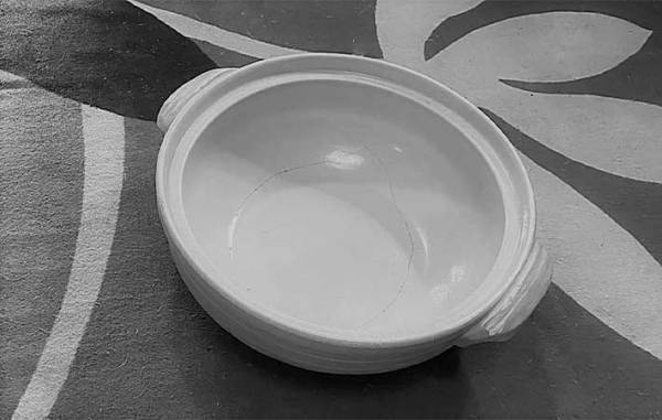 初の『猫鍋』にチャレンジ！　愛猫が見せた、元野良猫だからこその『反応』とは？