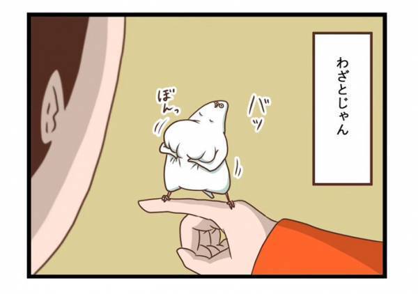 インコの「む゛～」　何度頼んでもやってもらえず、飼い主のツッコミ炸裂