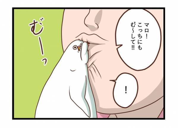 インコの「む゛～」　何度頼んでもやってもらえず、飼い主のツッコミ炸裂