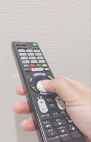 ３COINSにスライム！？　リモコンを掃除できるお役立ちアイテムが快適すぎる