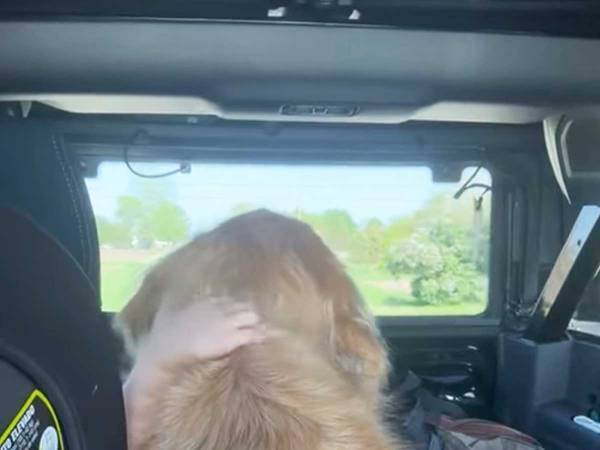 チャイルドシートの隣に座る犬　次の瞬間…？　「涙が出そう」「かわいすぎる」