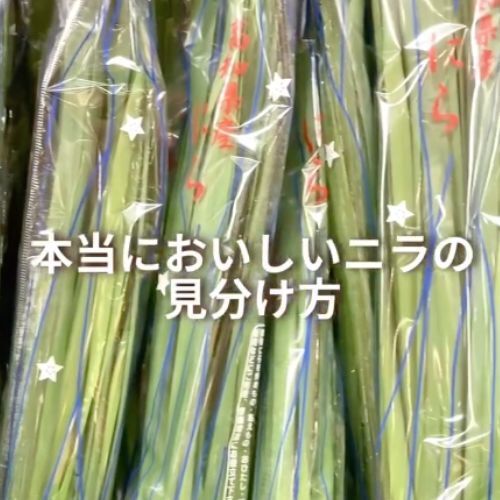 新鮮なニラは「○○が鮮やか」　見落としがちな部分に「知らなかった」「勉強になる」