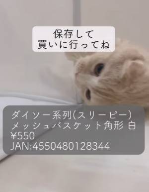 場所を取る洗濯カゴ　収納の悩みを解決するアイテムに「おしゃれ」「これは便利」