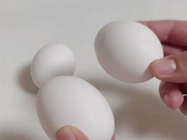 「卵は、知らなかった！」「ありがたい」　卵の冷凍保存方法が嬉しいライフハック
