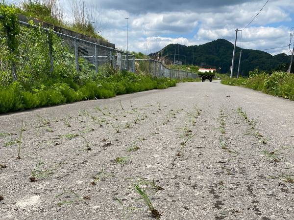 田植えに向かう夫　しかし、田んぼに向かうまでの道にはありえない『落とし物』が！